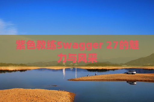 紫色教练Swagger 27的魅力与风采 紫色教练Swagger 27的魅力与风采
